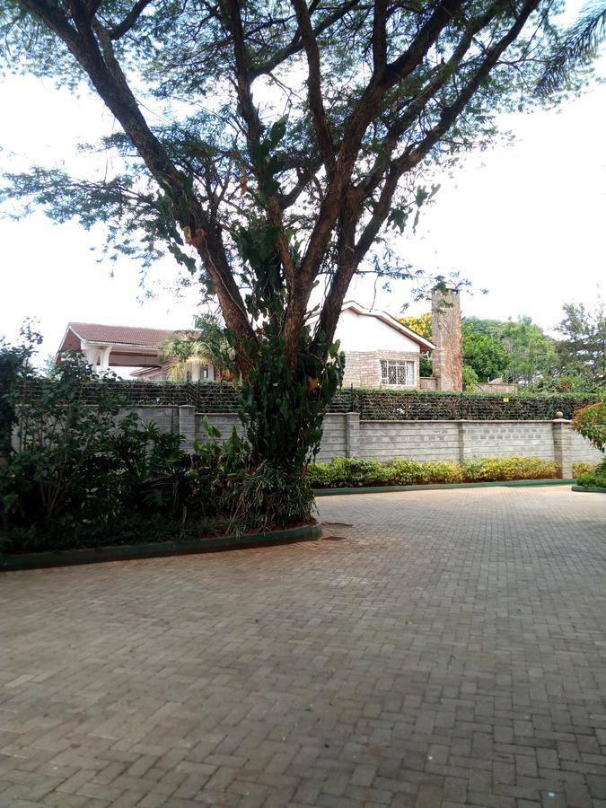 Kijiji Homestay 奈洛比 外观 照片